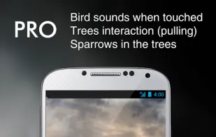 Sun Rise Live Wallpaper screenshot 1