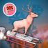Animal Adventure: Downhill Rush icon
