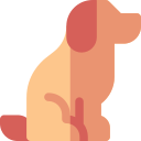 Bernard icon