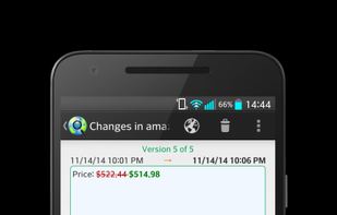 Viewing a detected change