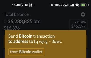 Bitcoin Simple Wallet screenshot 2