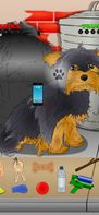 Poor Little Dog: Yorkie screenshot 1
