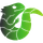 Midori icon
