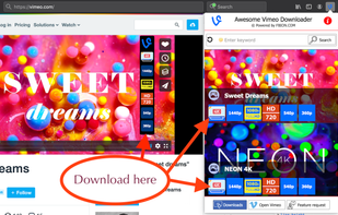 Awesome Vimeo Downloader screenshot 1