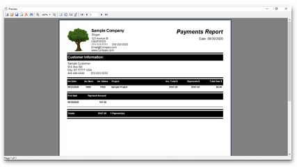 Payments Report