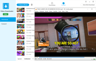 Jihosoft 4K Video Downloader screenshot 3