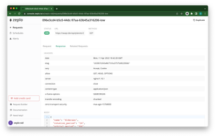 View the full details of every request and response including headers and body.