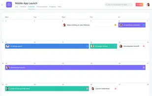 Asana screenshot 1