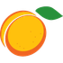 Wild Apricot icon