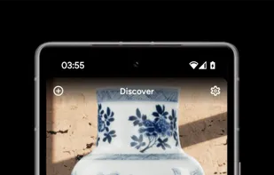 Discover top experiences