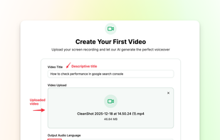 VideoMule screenshot 2