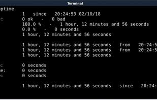 tuptime default output
