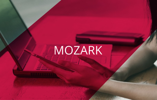 MOZARK screenshot 1
