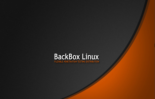 BackBox Linux screenshot 2