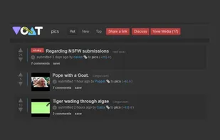 Amateur Voat Enhancements screenshot 2