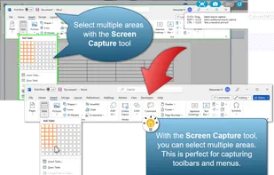 Screen Capture Tool