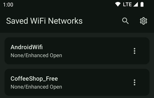 WiFi Password Manager screenshot 1