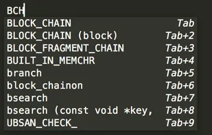 TabNine screenshot 3