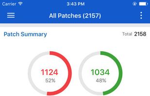 ManageEngine Patch Manager Plus screenshot 2