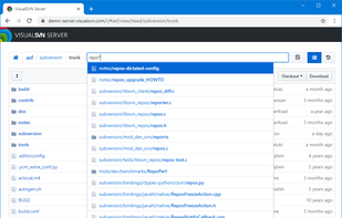 VisualSVN Server screenshot 1