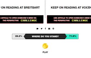 The Perspective screenshot 1