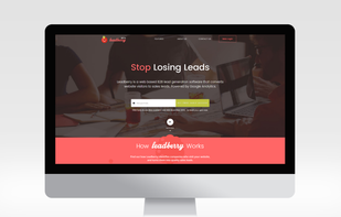 Leadberry screenshot 1