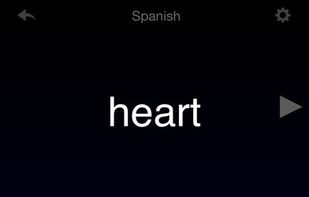 Flashcards Deluxe screenshot 3