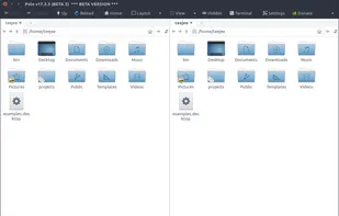 Polo File Manager screenshot 1