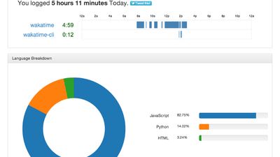 Showing logged time and language breakdown.