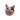 Notescast icon