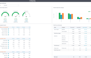 XLReporting Overview