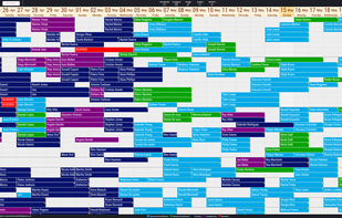 Calendar monthly view