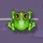 Froggerty Arcade icon