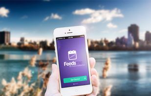 Feedsme screenshot 3