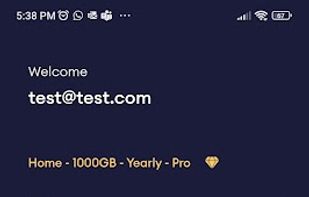 ElephantDrive screenshot 3