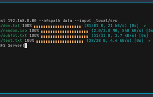NCP (NFS Copy) screenshot 1