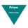 Prism Political Quiz icon
