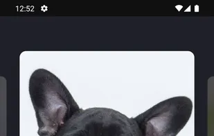 Dog Wallpaper Cute Puppies HD screenshot 2