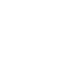 SaveDeo icon