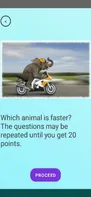 Quiz about animals
