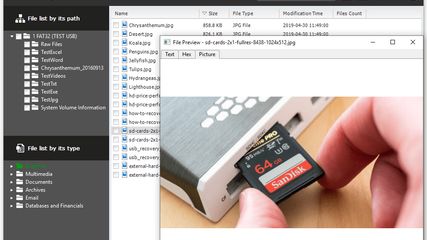 RecoveryRobot Memory Card Recovery - Preview