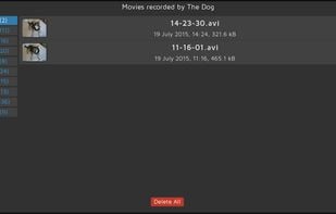 Media Browser