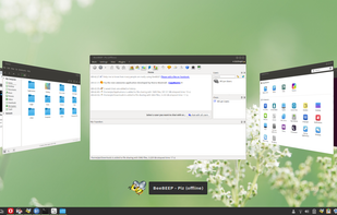 BeeFree OS screenshot 1