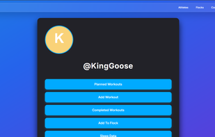 GooseNet screenshot 2