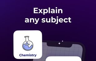 Solvely screenshot 3