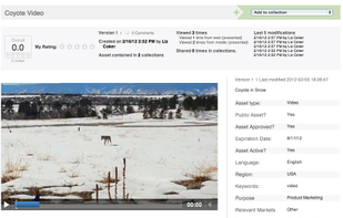 All assets are indexed with organization-specific keywords and meta data making them easy to search and filter.