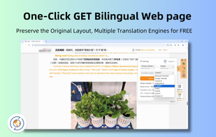 TranslateBase screenshot 3