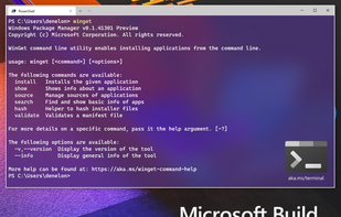 Windows Package Manager / WinGet screenshot 1