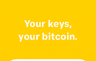 Pine Wallet screenshot 3