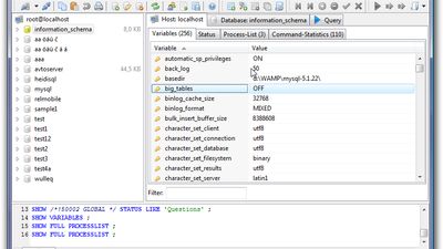Host Variables